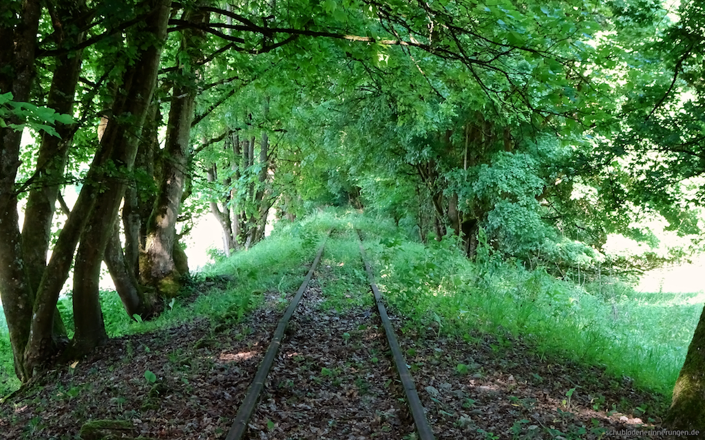 DSC08548 - 2017-05-31 um 17-40-37.jpg